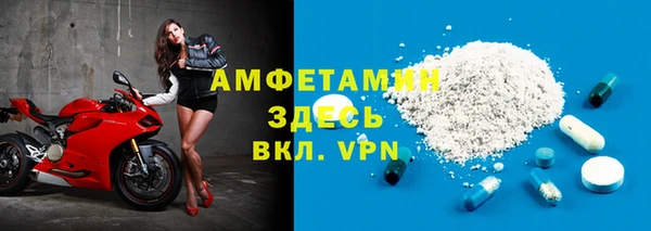 крисы Мегион