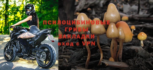 крисы Мегион