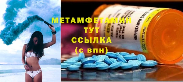 крисы Мегион