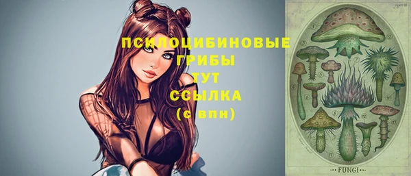 крисы Мегион