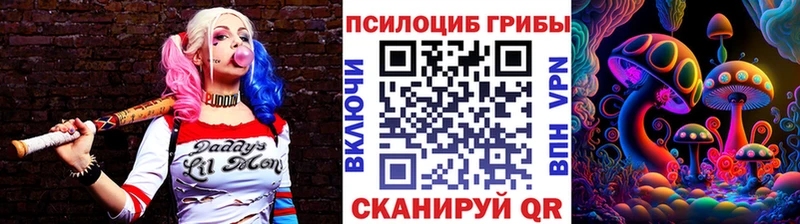 Галлюциногенные грибы Magic Shrooms  Купить где  Печоры 